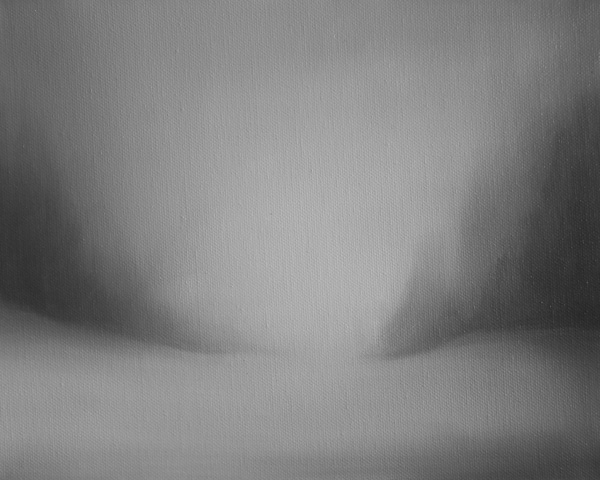 Misty landscape – 2013/4