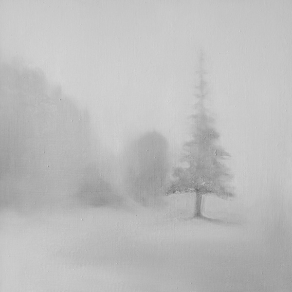 Misty landscape – 2021/3