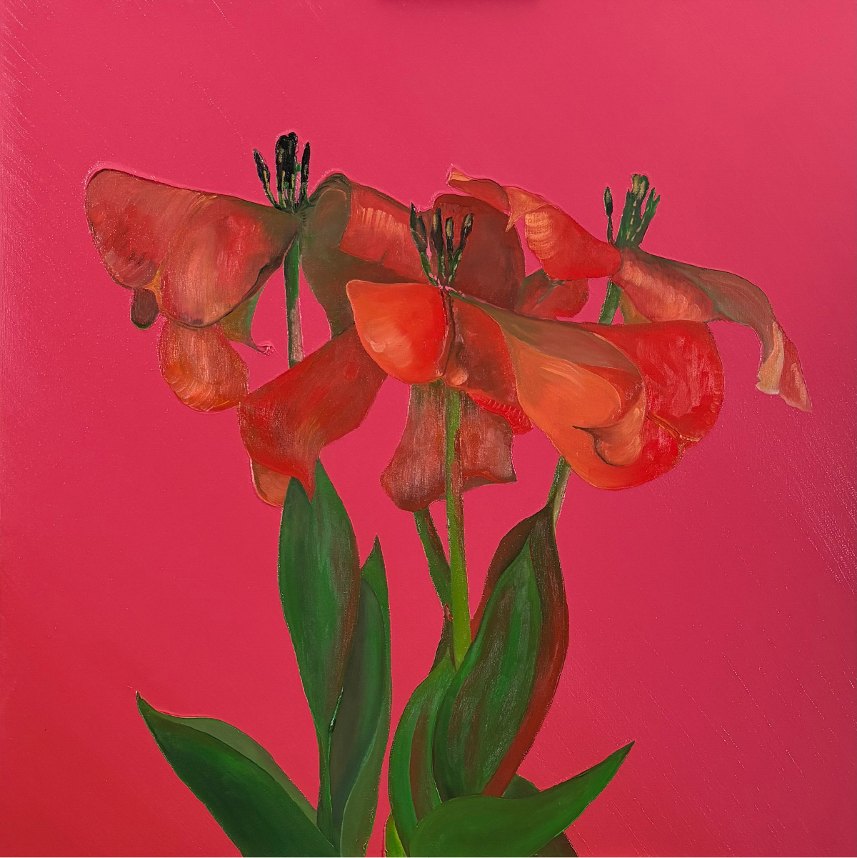 Lukasz_Grabski_Art_2024_09_01 Still life with flowers – 2024/9 Lukasz_Grabski_Art_2024_09_01 Still life with flowers – 2024/9