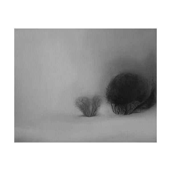 Misty landscape – 2013/3