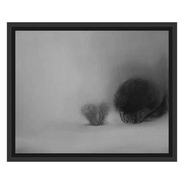 Misty landscape – 2013/3