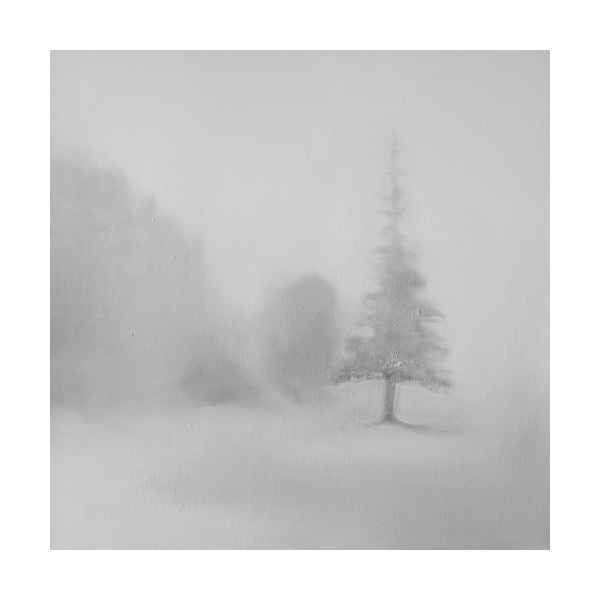 Misty landscape – 2021/3