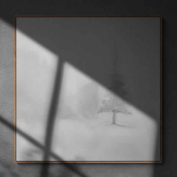 Misty landscape – 2021/3